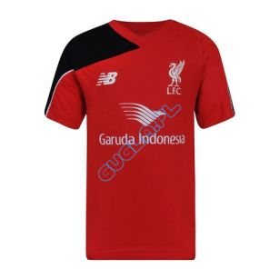 Koszulka Liverpool FC junior